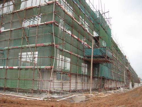 虎年Z6人生就是博开名胜,新厂建设喜人心