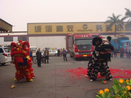 开工大吉   醒狮助兴