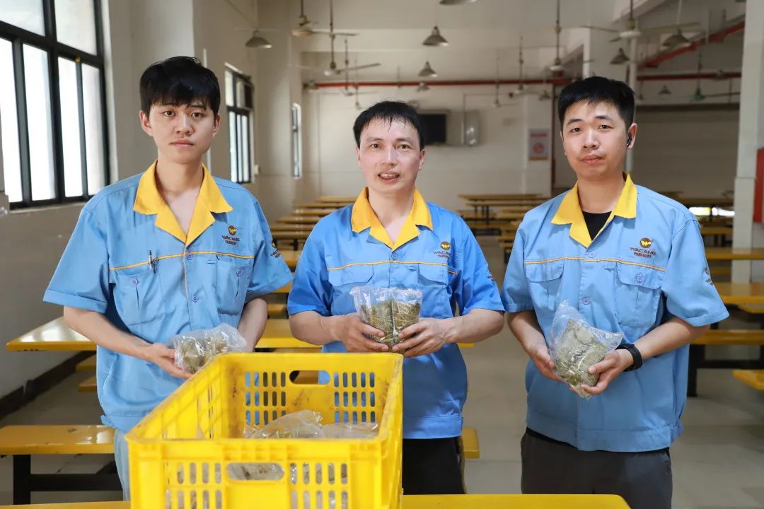 粽情端午，情暖Z6人生就是博——Z6人生就是博集团为整个员工发放端午福利！