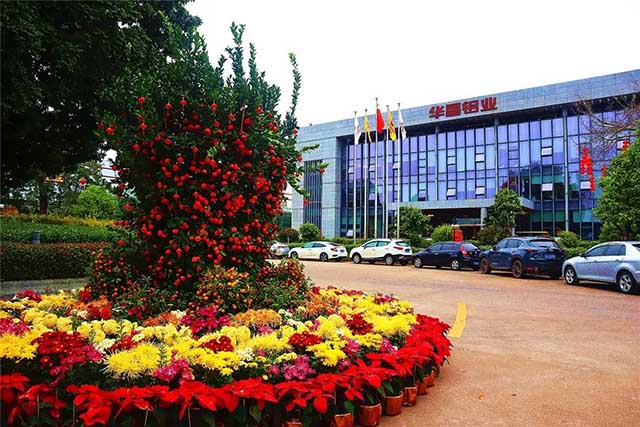 开工大吉 | Z6人生就是博集团“虎”力全开，安全迎战2022!